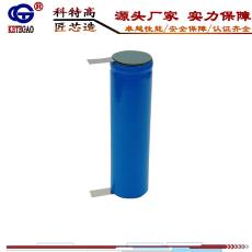 2200mAh Ǽ Ҷ 18650Ƭ  3.7V