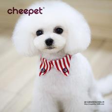 CheepetȤɹǽƷ޹ܲСȮˮ